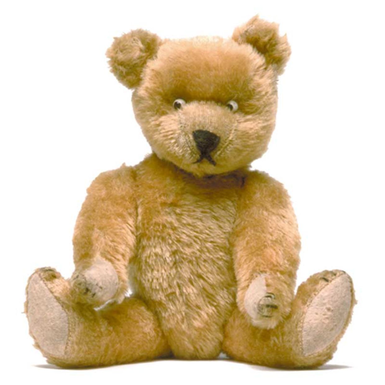 Berryman Bear, 1906, Amerika